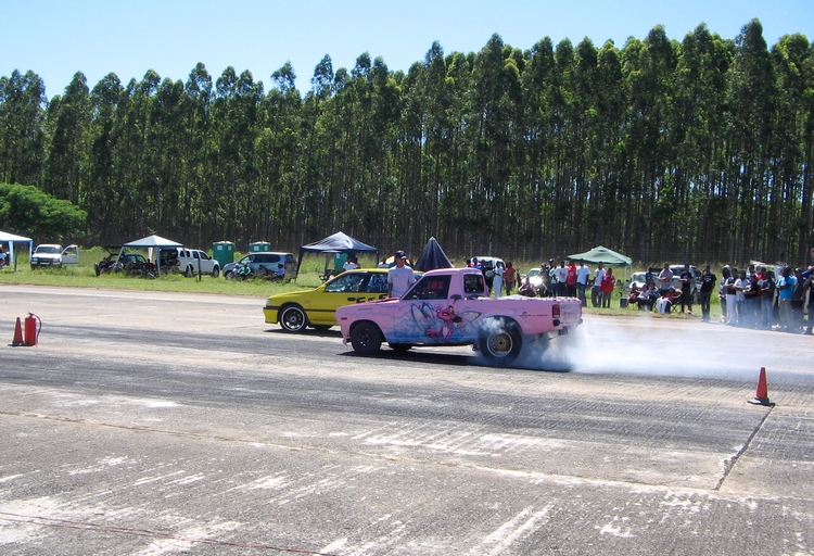 pink1.jpg